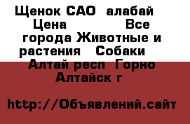 Щенок САО (алабай) › Цена ­ 10 000 - Все города Животные и растения » Собаки   . Алтай респ.,Горно-Алтайск г.